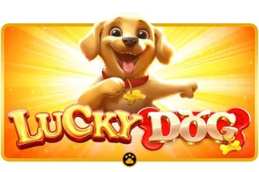 t46slot Poker Texas Hold'em ကတ်ဂိမ်း စားပွဲ နှင့် ကစားသမားများ